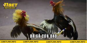 đá gà cựa dao