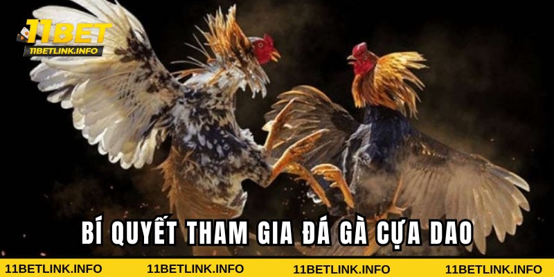 Bí kíp chơi đấu chiến kê thắng lớn Bí kíp chơi đấu chiến kê thắng lớn