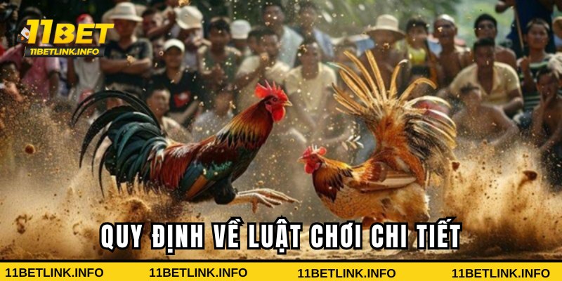 Quy định luật chơi đá gà tại 11bet Quy định luật chơi đá gà tại 11bet