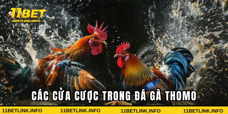 Các loại cược hấp dẫn trong đá gà 11bet