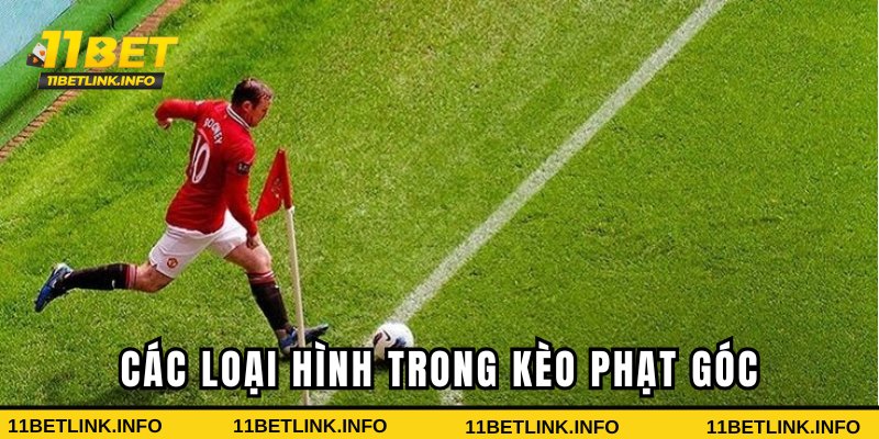 Các loại hình cược hấp dẫn tại nhà cái Các loại hình cược hấp dẫn tại nhà cái