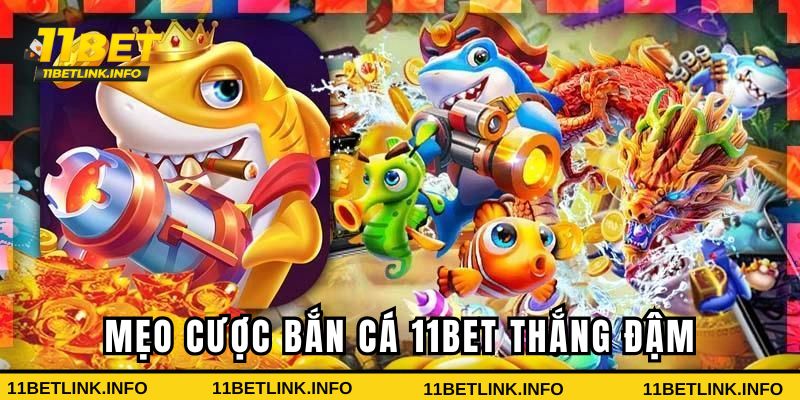 Chiến lược cược game săn bắt hiệu quả cao Chiến lược cược game săn bắt hiệu quả cao