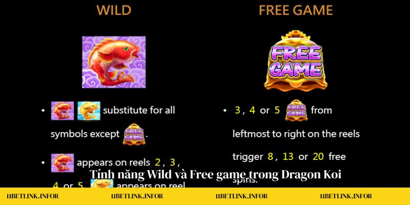 Dragon Koi Tính năng Wild và Free game trong Dragon koi
